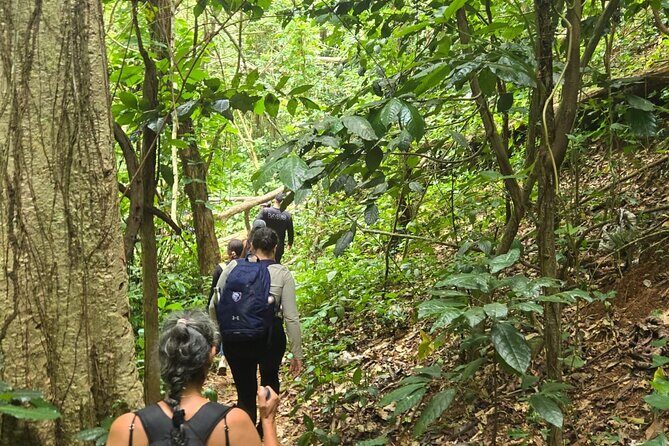Hike at Charco Prieto for Fairly Experienced Adventurers - Who Should Consider This Tour?