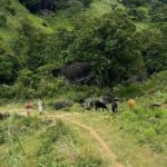 Hiking Knuckles Mountain Range from Kandy - Why This Tour Offers Great Value