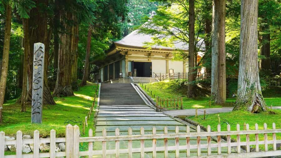 Hiraizumi: A World Heritage Journey Through the Pure Land - Who Is This Tour Best For?