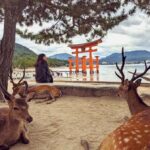 Hiroshima: Miyajima Island UNESCO Site Guided Tour - FAQs