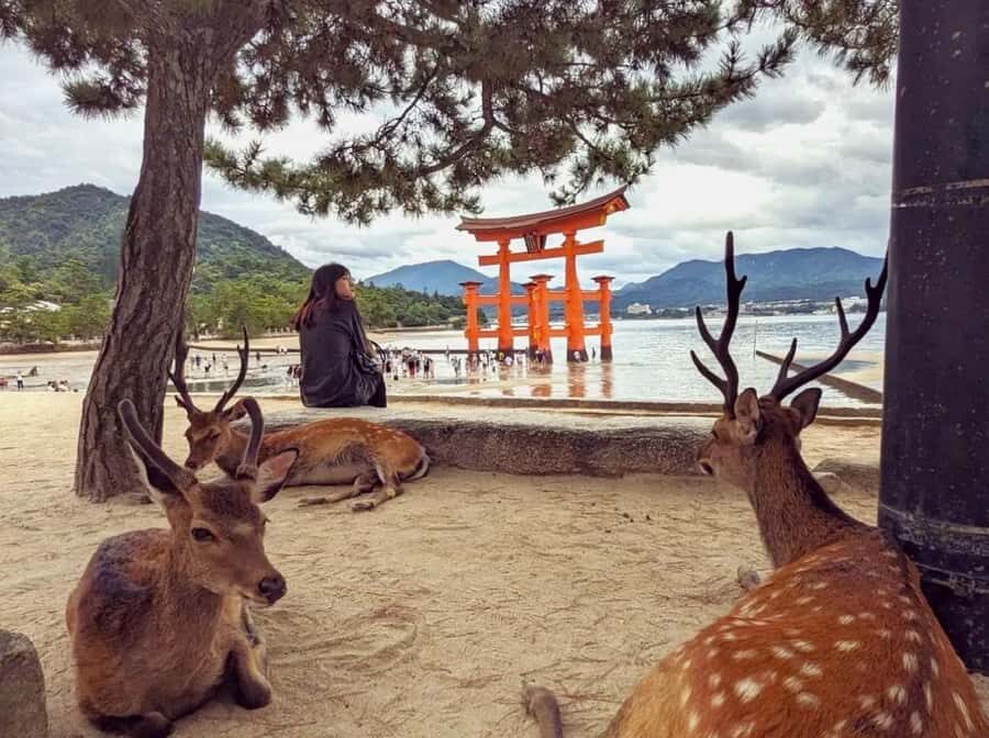 Hiroshima: Miyajima Island UNESCO Site Guided Tour - FAQs