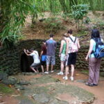 Ho Chi Minh: Cu Chi Tunnels & Mekong Delta Tour| Small Group - Who Will Love This Tour?