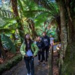 Hobart: Mt Field National Park & Wildlife Shore Excursion - Transportation, Timing, and Group Size
