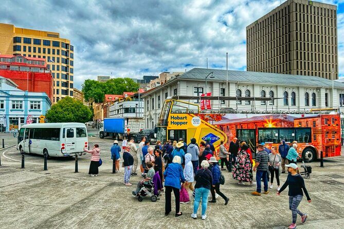Hobart Shore Excursion-Open Top City Explorer Tour 1.30pm - Why Travelers Love This Tour