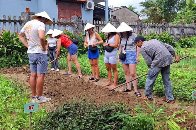 Hoi An Cooking Class & Vespa Cooking Adventure Tour - Who Is This Tour Best Suited For?