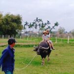 Hoi An Countryside Tour with 3 Local Villages by Army Jeep or Private Car - The Authenticity and Local Flavor