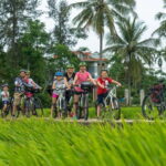 Hoi An: Morning Countryside Tour by Bike - The Value of This Tour