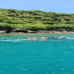 Hoi An snorkeling by speedboat at Cham Island - Practical Tips for Making the Most of This Tour