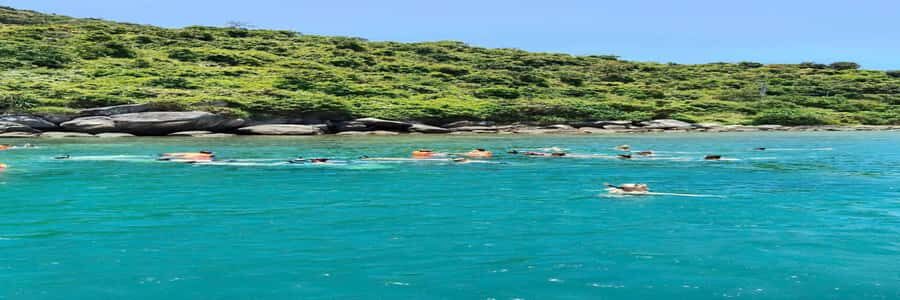 Hoi An snorkeling by speedboat at Cham Island - Practical Tips for Making the Most of This Tour