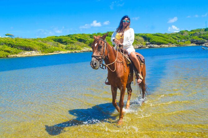 Horse back riding (Punta Cana/Bavaro) - Who Will Love This Tour?