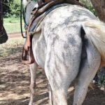 Horse Ride and Hike Tour to Pigeon Island with Lunch with Dore's - The Sum Up: Who Is This Tour Perfect For?