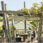 Horse Riding, Wine Tasting & Art Trail Private Tour - The Allure of the Tour