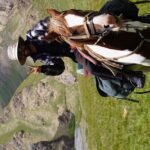Horseback Riding Adventure in Ala archa National park - Why This Tour Offers Great Value