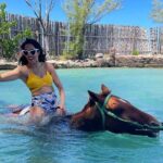 Horseback Riding in Montego Bay - Horseback Riding in Montego Bay — A Balanced Look at an Authentic Jamaican Adventure