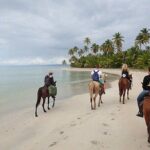 Horseback Riding on Punta Cana Beach with Transportation - The Sum Up