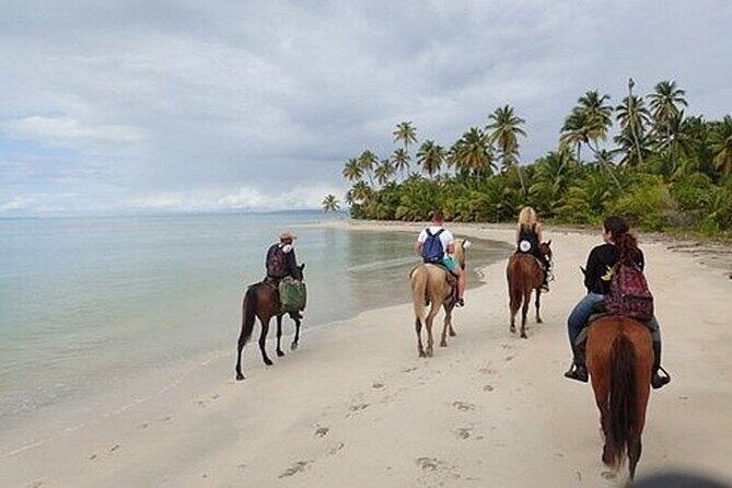 Horseback Riding on Punta Cana Beach with Transportation - The Sum Up