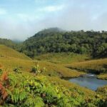 Horton Plains National Park : Private Guided Trekking Tour - Who Will Love This Tour?