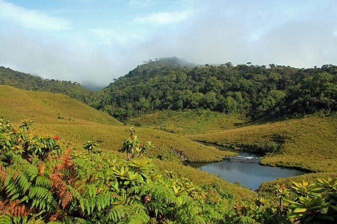 Horton Plains National Park : Private Guided Trekking Tour - Who Will Love This Tour?