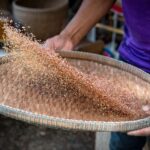 Hua Hin: Rice Farm Experience with Lunch in Phetchaburi - In-Depth Review of the Rice Farm Experience