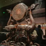 Hubei Provincial Museum 2 Hour Guided Tour - Who Will Benefit Most from This Tour?