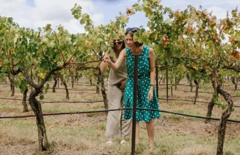 Hunter Valley: Wine, Food, and Behind the Scenes Day Tour - The Sum Up: Who Will Love This Experience?