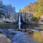 Hunua Falls and Blue Springs (Te Waihou): Private Tour - FAQ