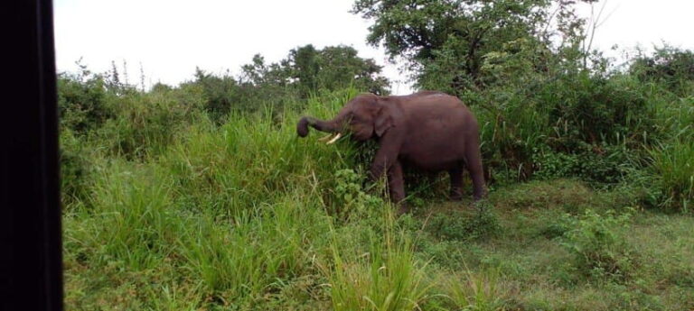 Hurulu Eco Park Safari - Overview of Hurulu Eco Park