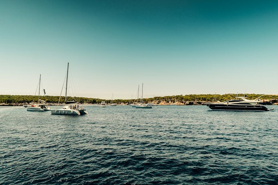 Sailboats and yachts on clear blue water near Ibiza coast