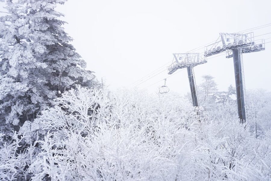 Ski lift rising through frost-covered trees at a Korean ski resort