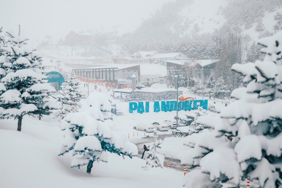 Snowy Korean ski resort landscape with pine trees