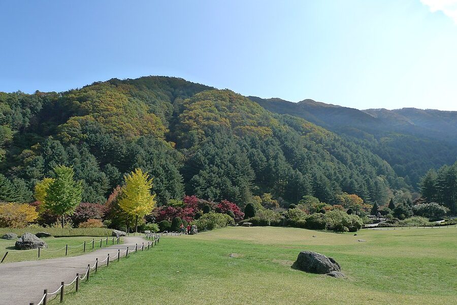 The Garden of Morning Calm, Gyeonggi-do, with winter lights installation