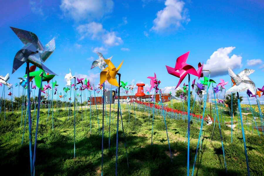 Pinwheel field at Imjingak Pyeonghwanuri Park spinning in wind
