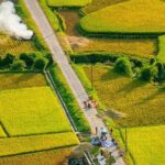 Immerse in Mai Chau: Explore the Colorful Northwest & Hidden Cave - What Makes This Tour Stand Out?