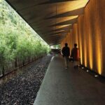 Imperial Palace, Meiji Shrine, & Aoyama Tour - Who Is This Tour Best For?