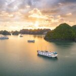 Indochina Sails Halong Bay - The Itinerary in Detail: What You Can Expect
