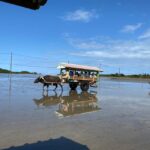 Iriomote: Coral Snorkeling and Yubujima sightseeing tour! - Why This Tour Works Well