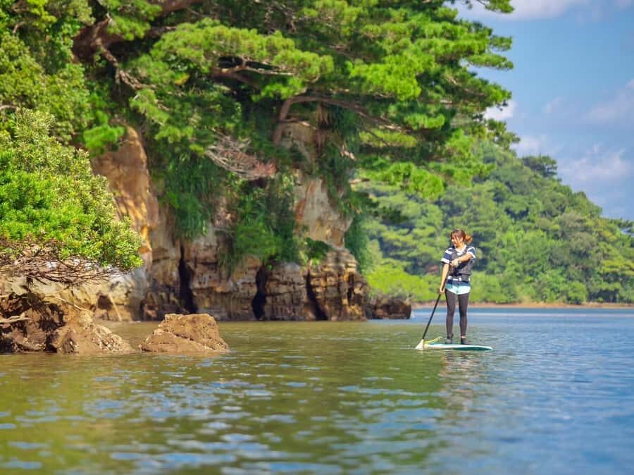 Iriomote Mangrove SUP and Snorkeling at Coral island - The Logistics: What to Expect
