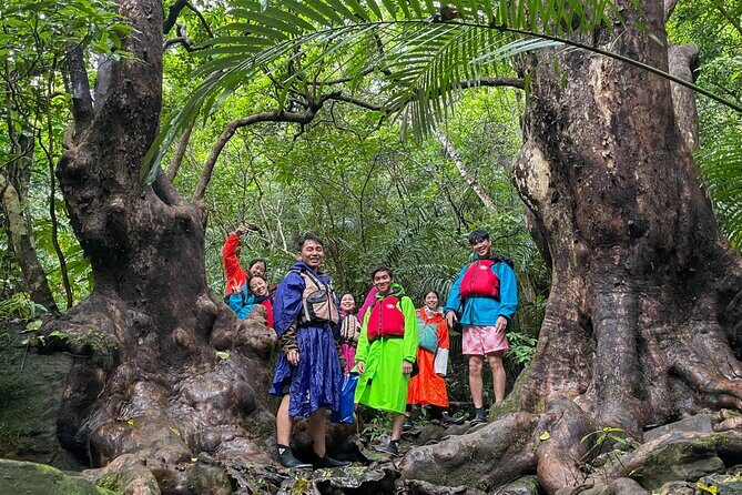 Iriomotes Adventure: Pinaisara Falls Canoe and Trekking Tour - What Makes This Tour Special?