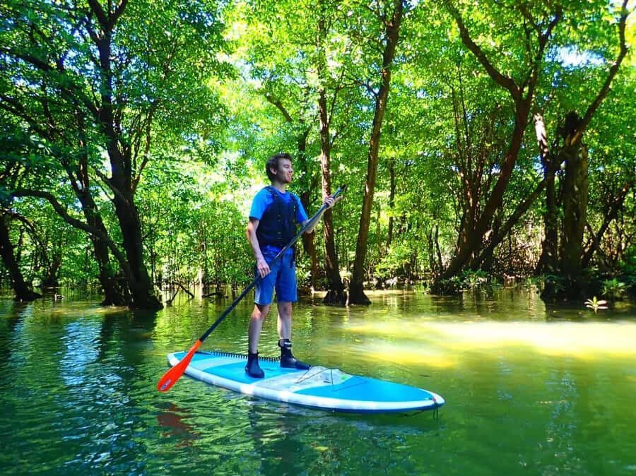Ishigaki Island: SUP or Canoeing and Snorkeling at Blue Cave - What Makes This Tour Stand Out?