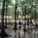 Ishigaki Island:Choice of Sunrise SUP or Canoe Tour - The Itinerary: What to Expect