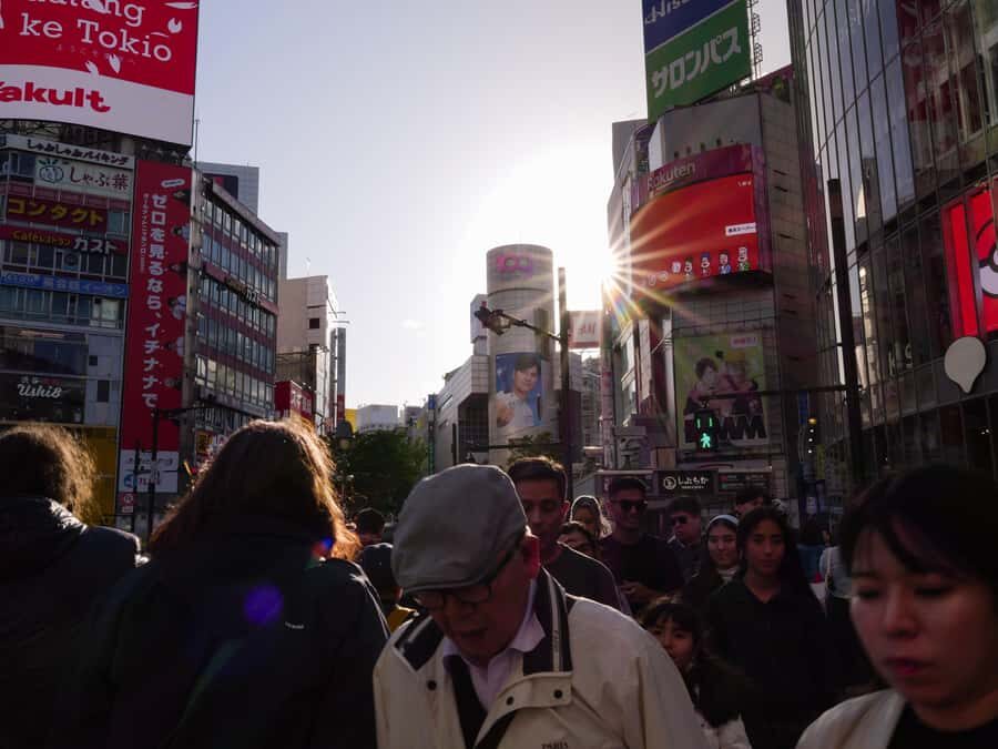 Izakaya & Traditional Dishes in Tokyo's Shibuya Walk 3 Hrs - What’s Included & How It Adds Value