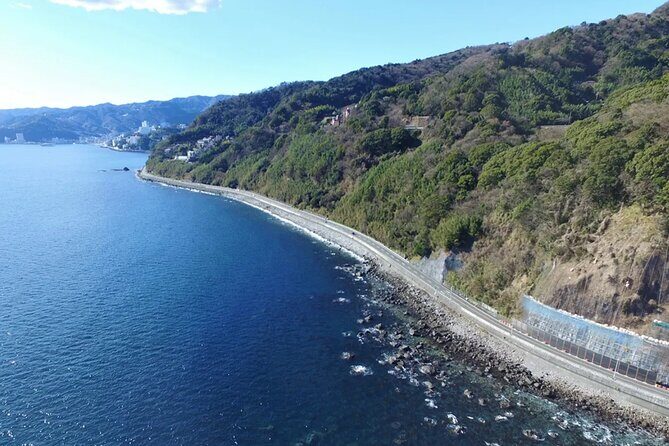 Izu Mount Omuro Day Tour: Atami Beach Line,Ropeway,Jogasaki Coast - In-Depth Look at the Itinerary