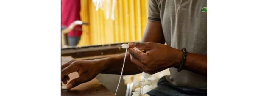 Jaffna: Garland Making and Temple Visit with Guide - Practical Details and Comfort