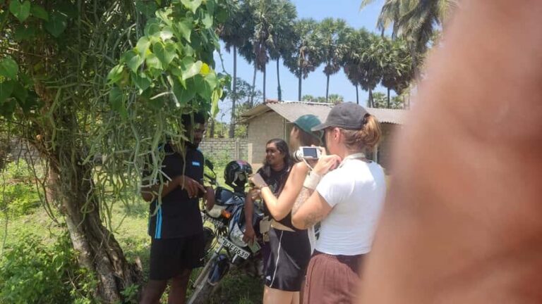 Jaffna: Tamil Farming Experience with Local Farmers - Practical Details and Tips