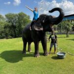 Jaipur: Hathigao Elephant Village Ride, Feeding, & Photos - Who Will Love This Tour?