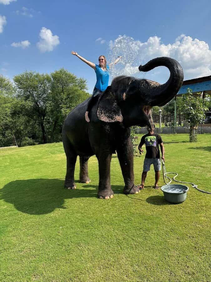 Jaipur: Hathigao Elephant Village Ride, Feeding, & Photos - Who Will Love This Tour?