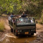 Jaipur to Ranthambore Day Trip with Safari and Transfers - What Past Travelers Say