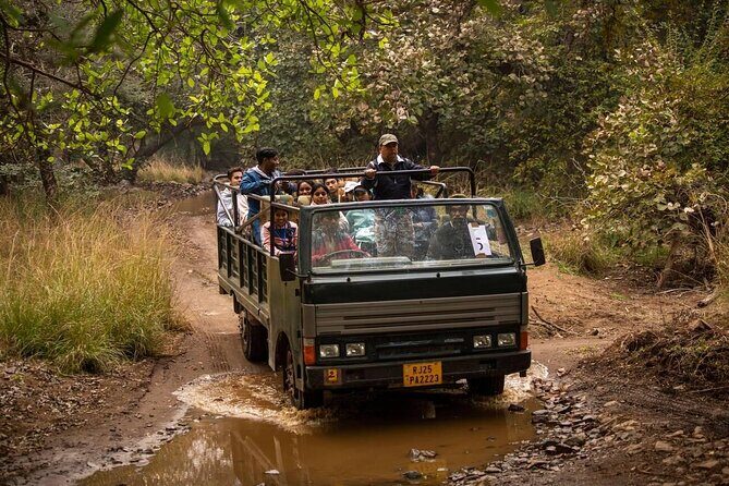 Jaipur to Ranthambore Day Trip with Safari and Transfers - What Past Travelers Say