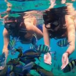 Jakarta: Private Yacht to Asha Resort w/ Snorkel - Asha Resort & Its Surroundings