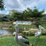 Jakarta: Setu Babakan and Taman Mini Indonesia Indah Tour - Final Thoughts